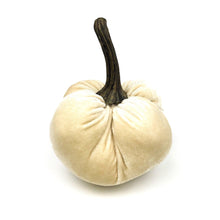 Velvet Pumpkin