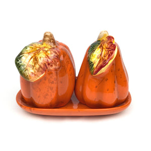 Harvest Pumpkin Salt & Pepper Set