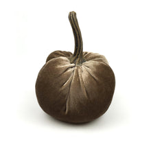Velvet Pumpkin