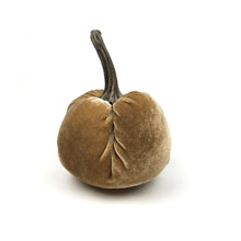 Velvet Pumpkin